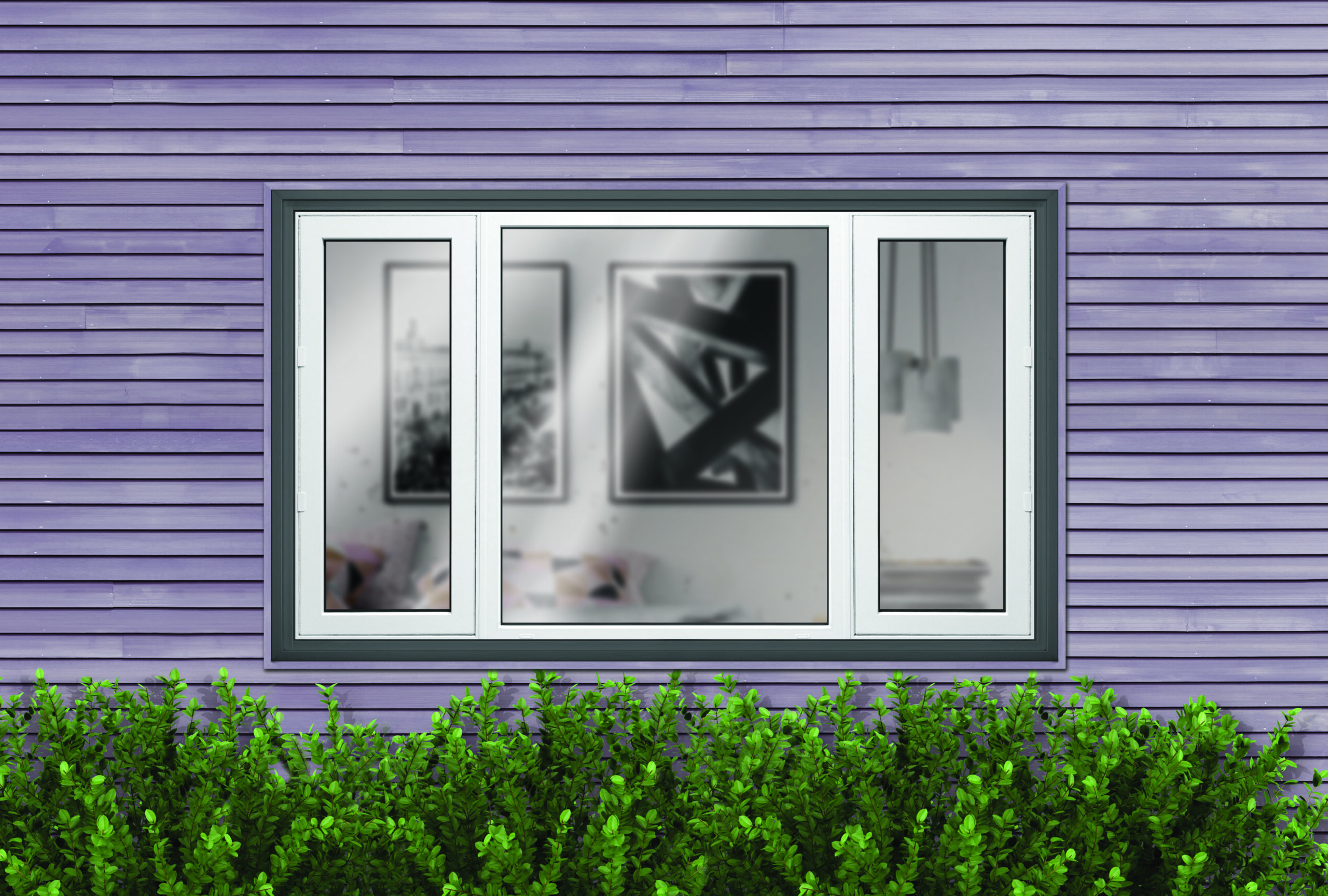 Windows and Doors